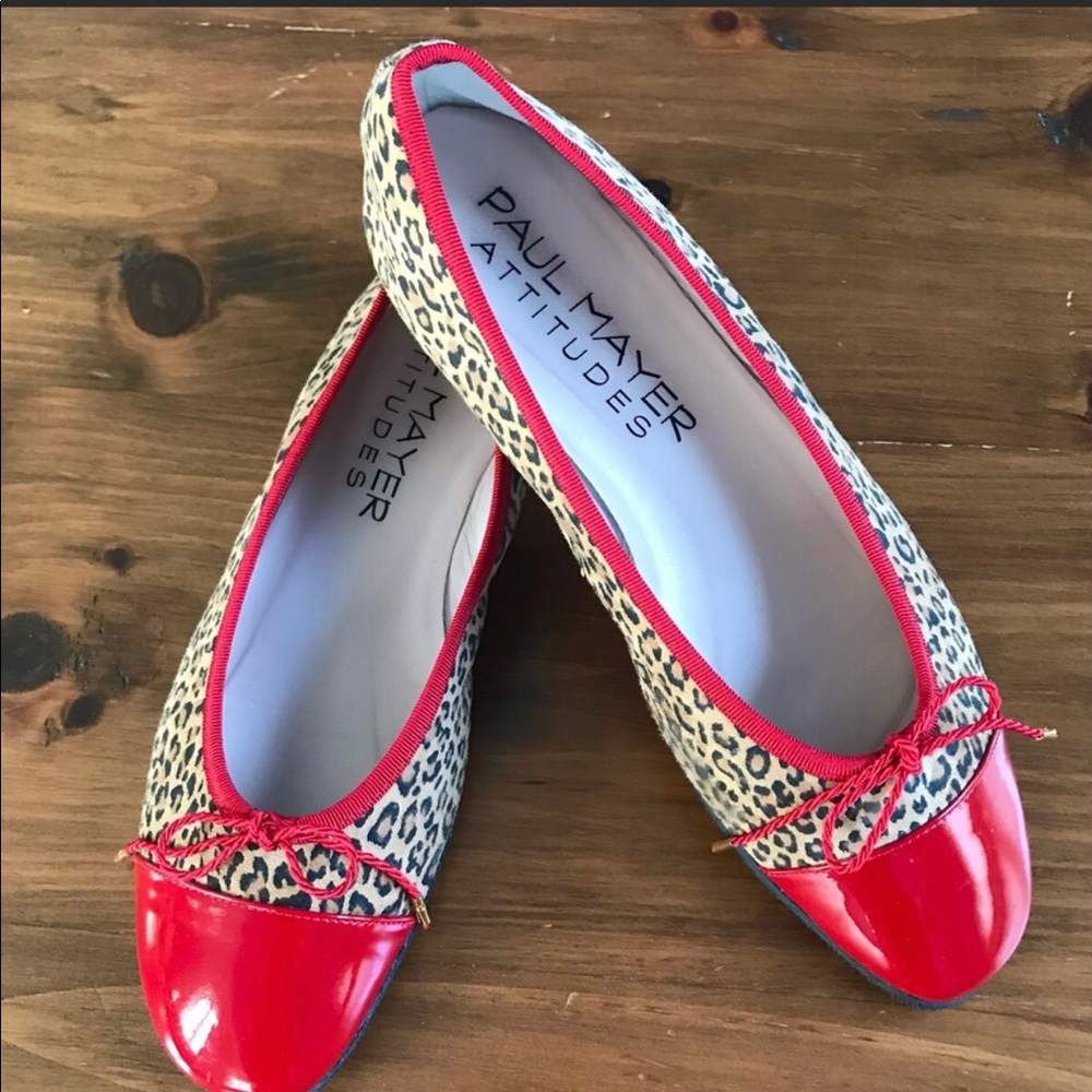Paul Mayer Shoes, Adorable Ballet Flats, Size 7B